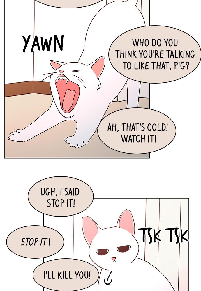 Read Seasons of Blossom EN Manga Online