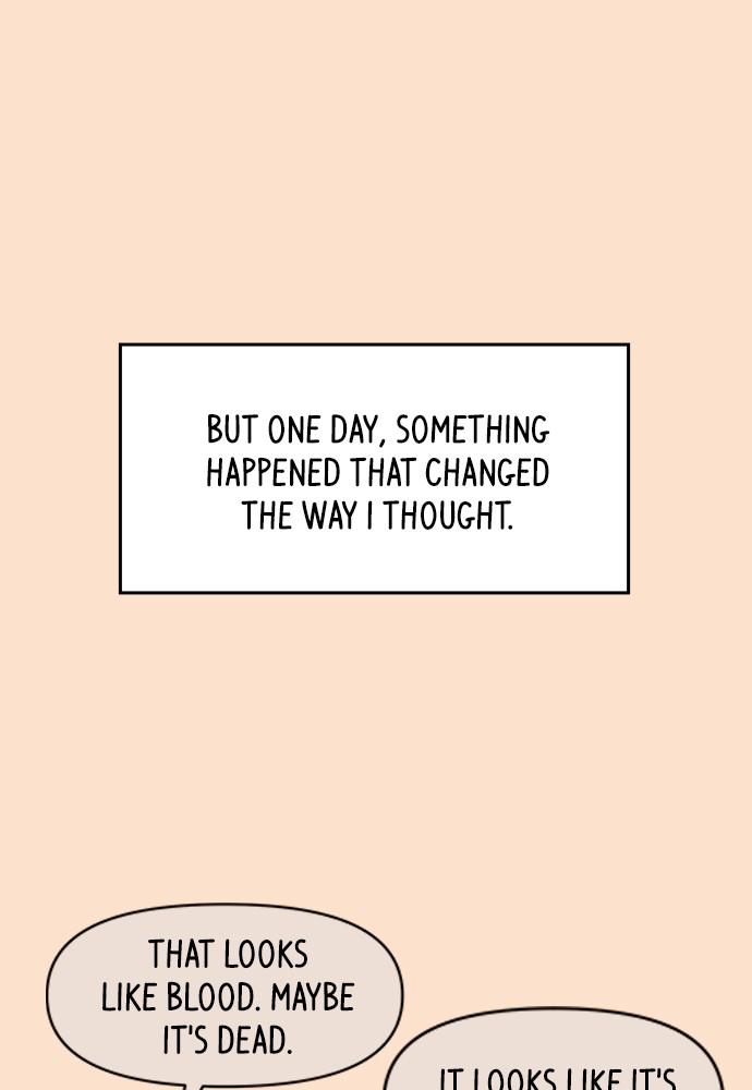 Read Seasons of Blossom EN Manga Online