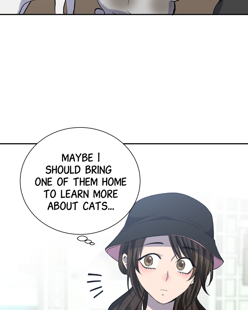 Read The Guy Upstairs EN Manga Online