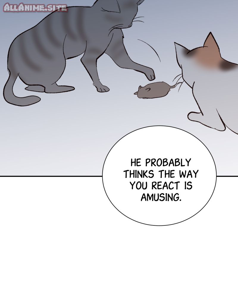 Read The Guy Upstairs EN Manga Online