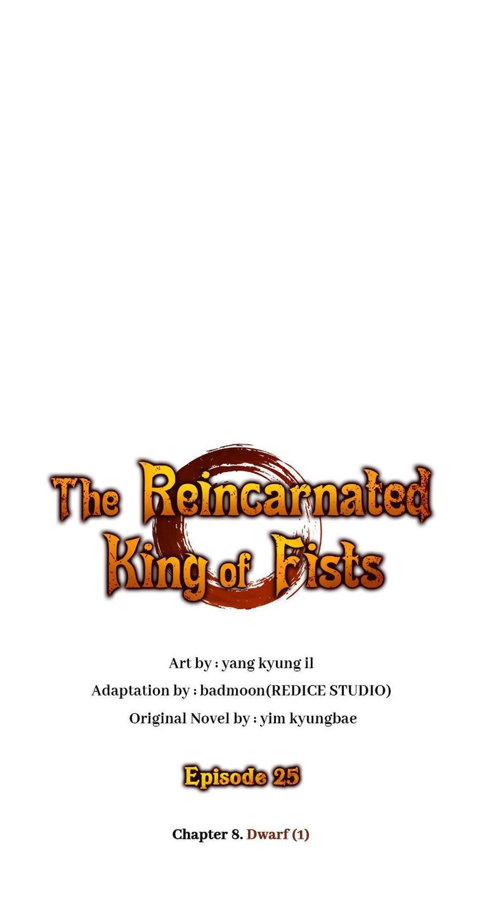 Read The Reincarnated King of Fists EN Manga Online