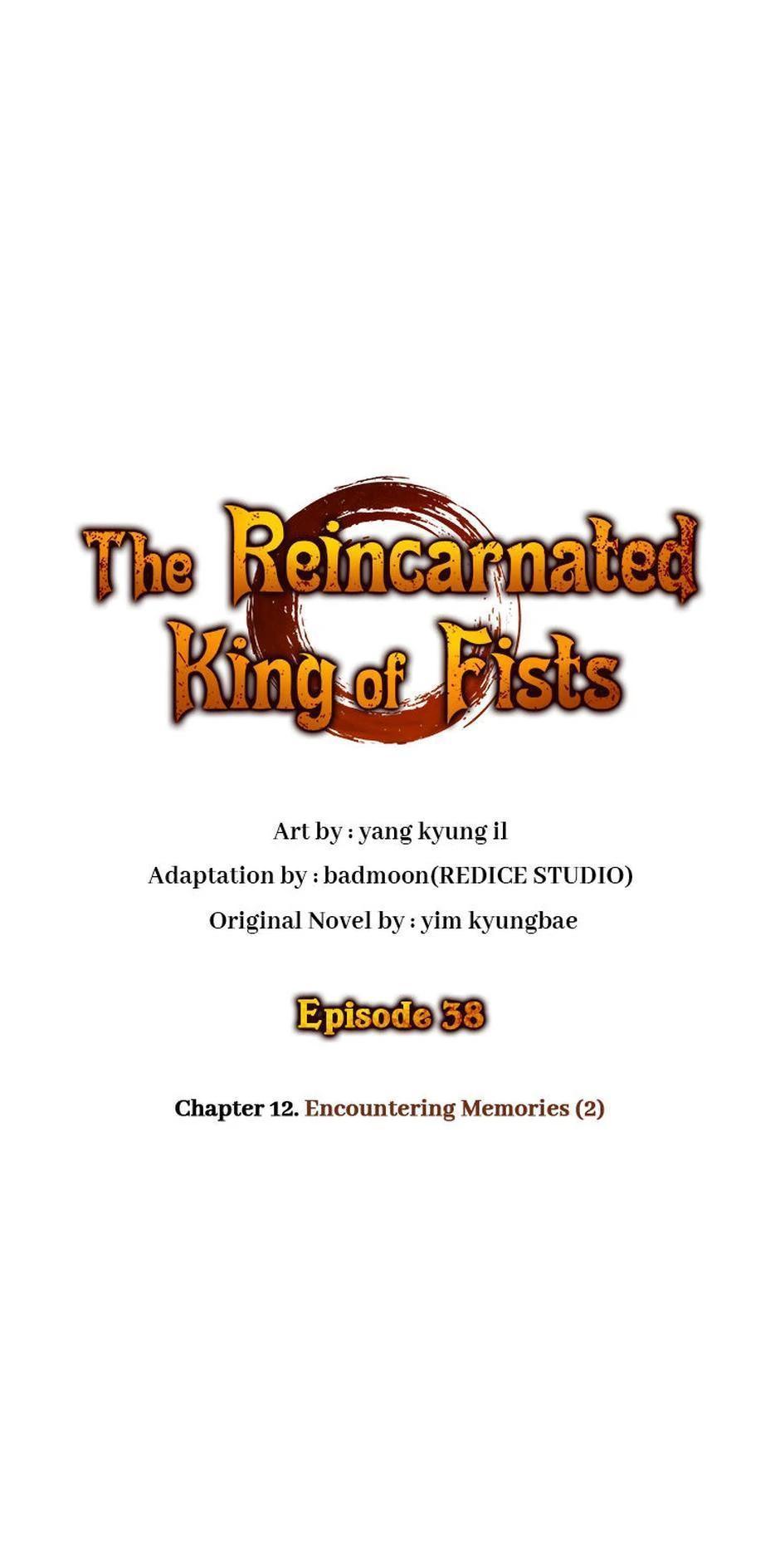 Read The Reincarnated King of Fists EN Manga Online