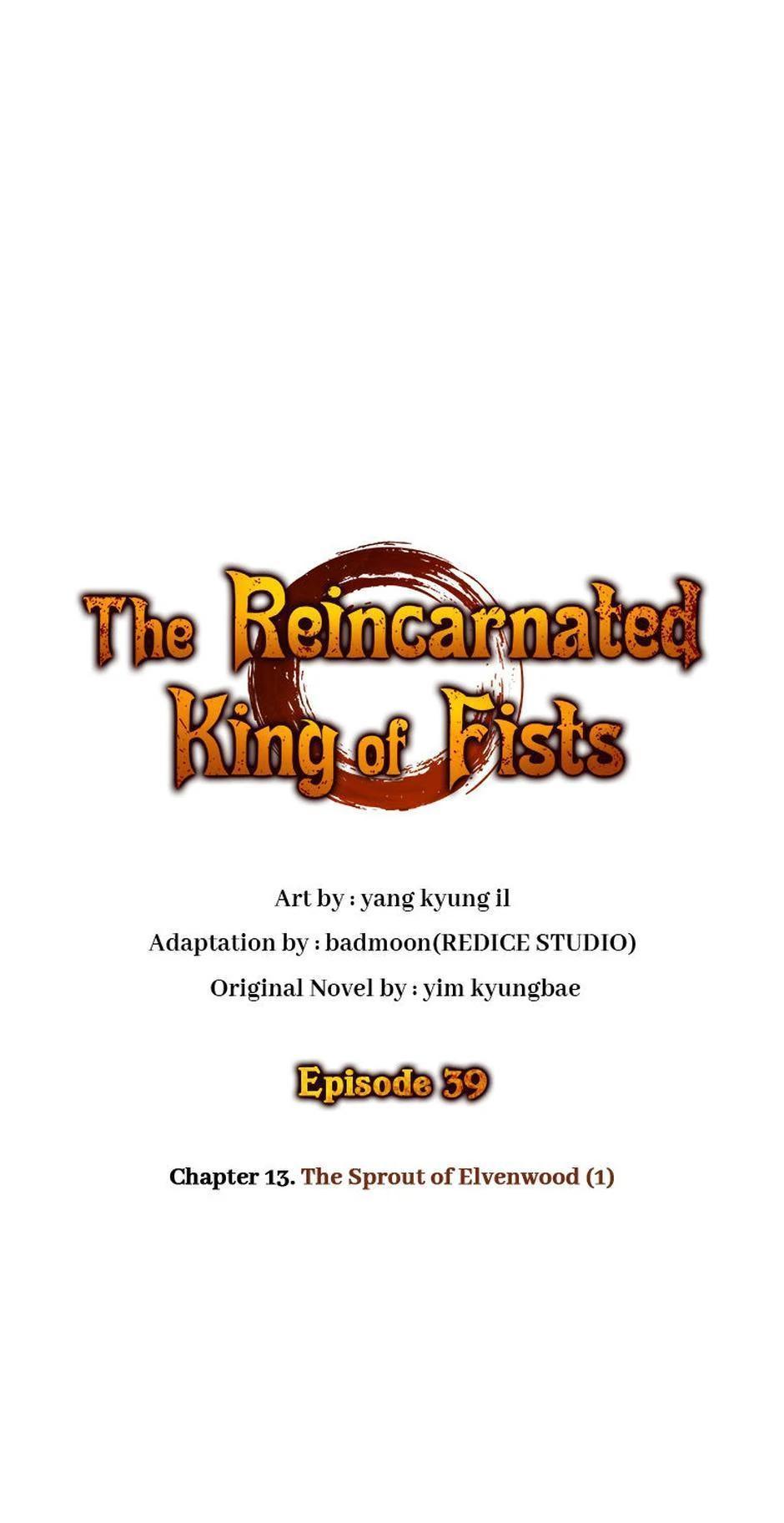 Read The Reincarnated King of Fists EN Manga Online