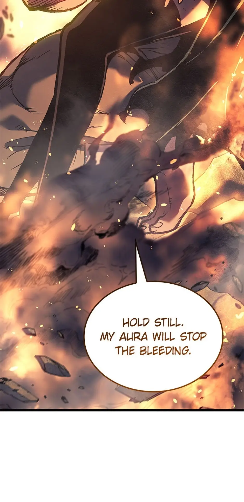 Read The Reincarnated King of Fists EN Manga Online