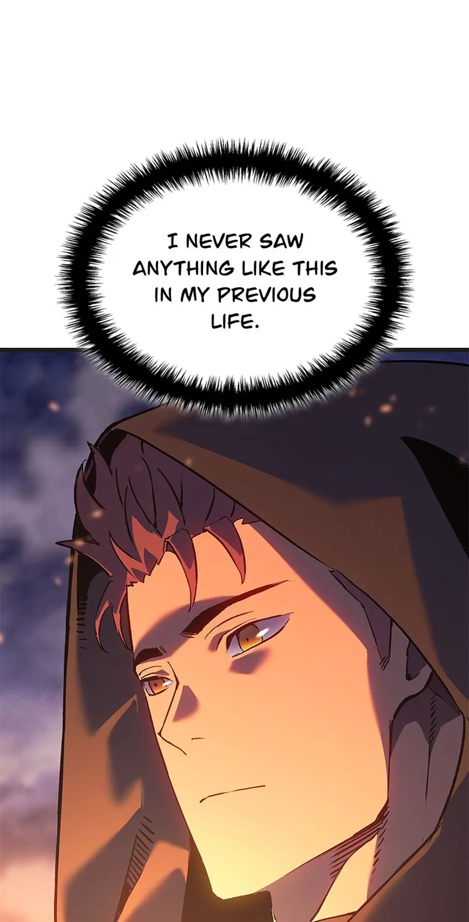 Read The Reincarnated King of Fists EN Manga Online