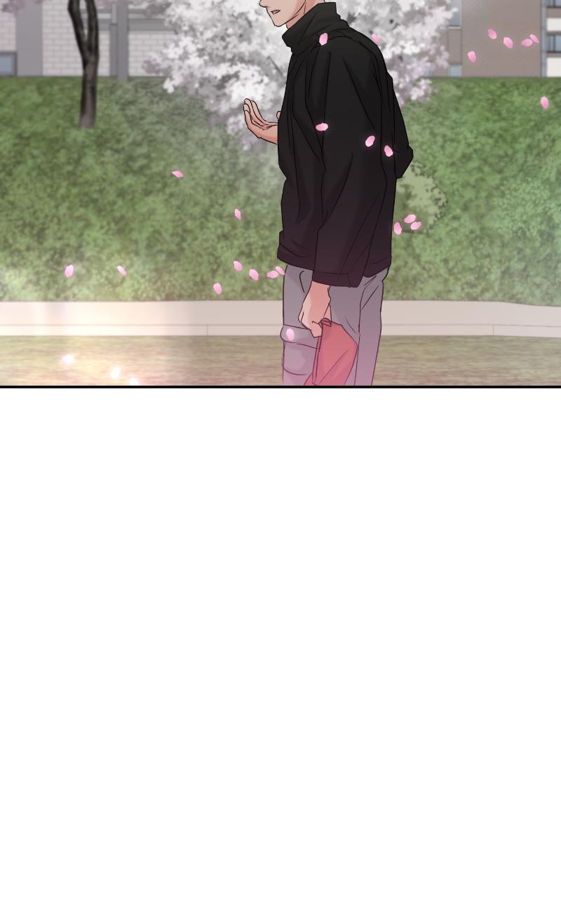 Read This is a Campus Romance Series EN Manga Online