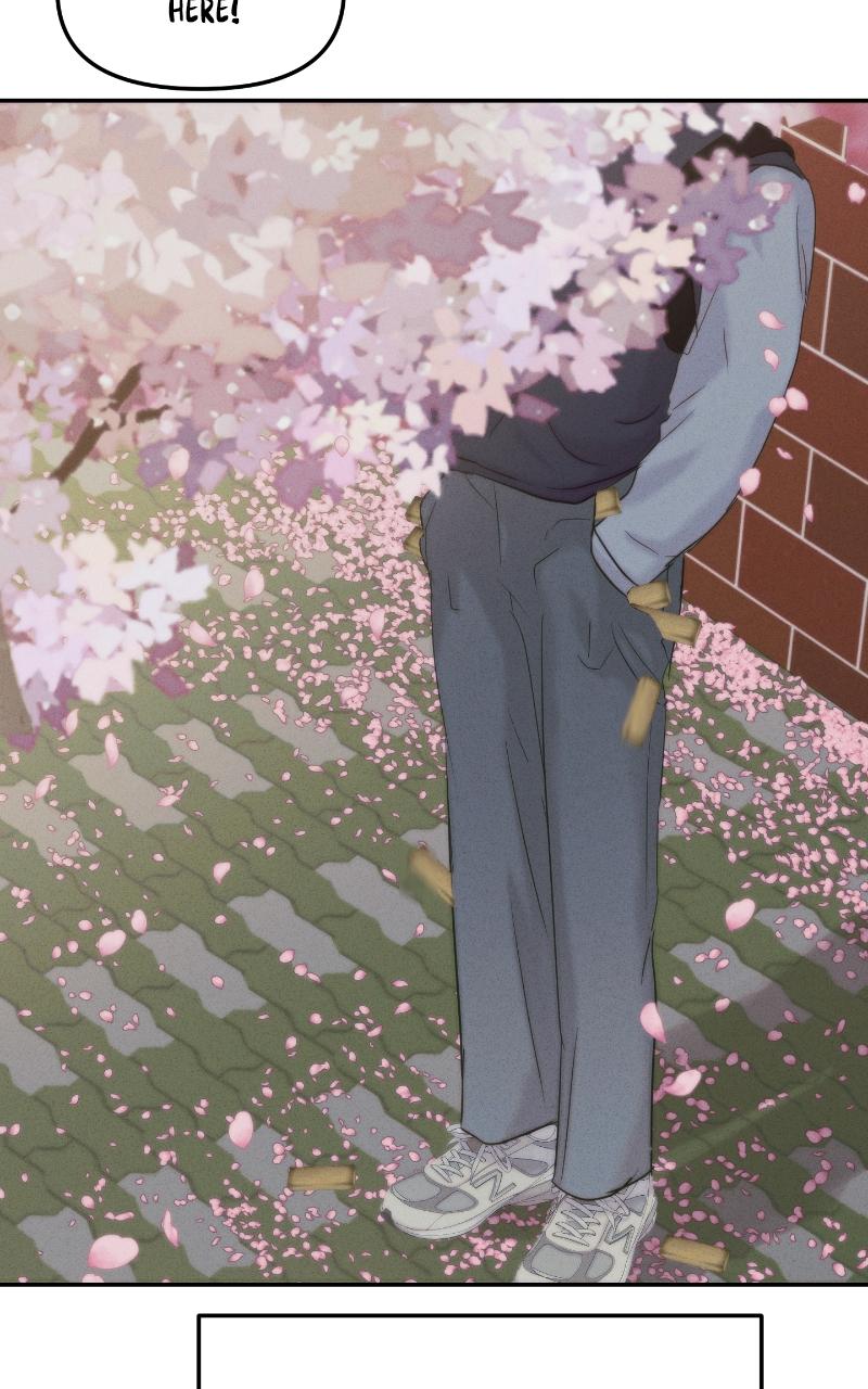 Read This is a Campus Romance Series EN Manga Online