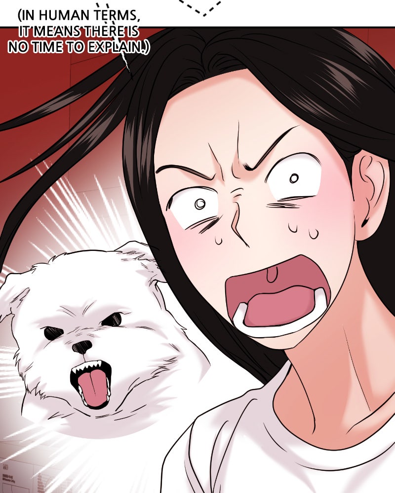 Read This is a Campus Romance Series EN Manga Online