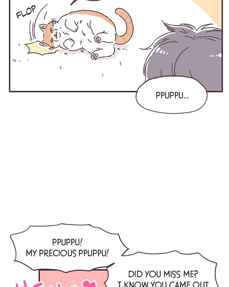 Read When The Day Comes EN Manga Online