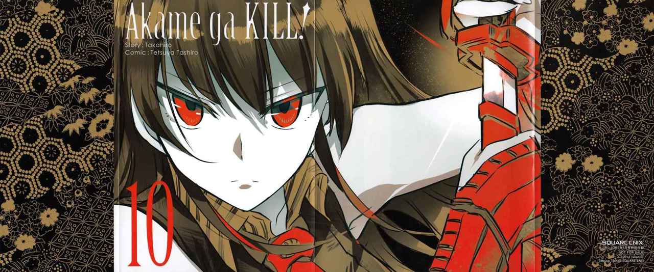 Read Akame ga Kill! ES Manga Online