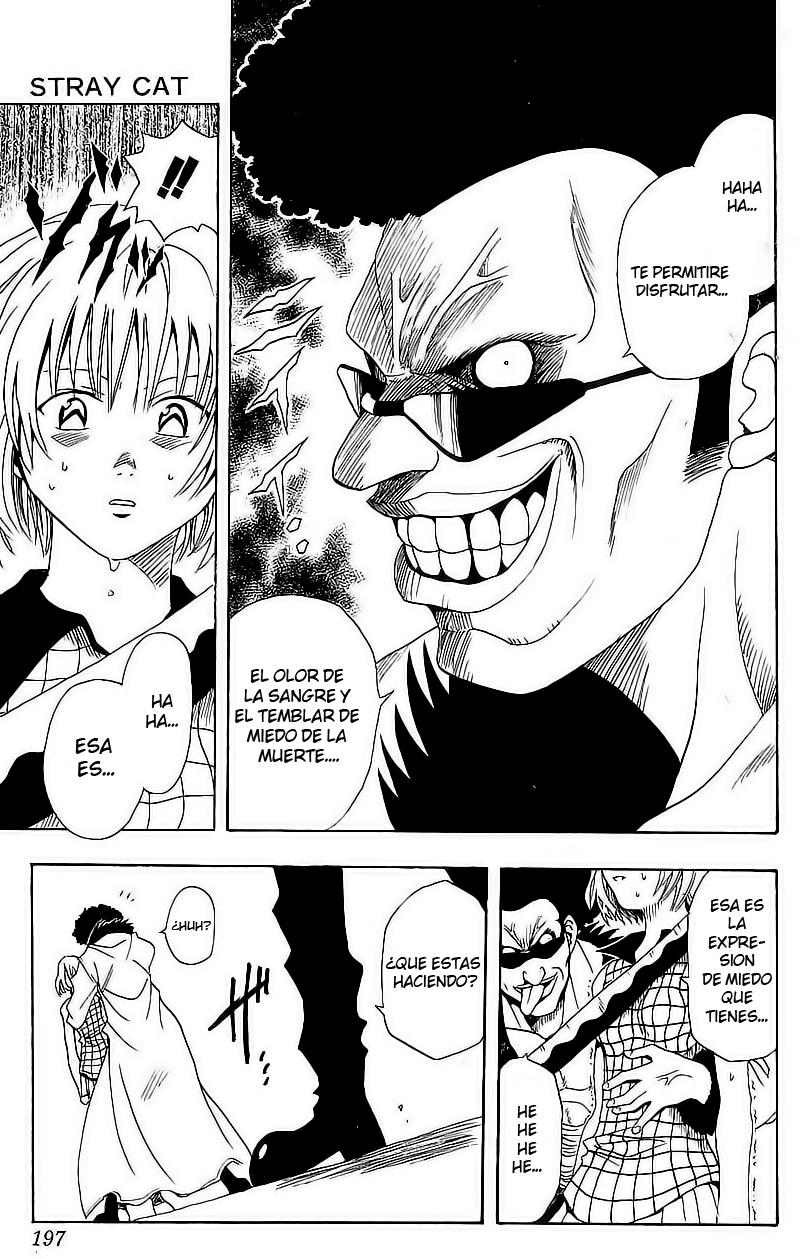 Read Black Cat ES Manga Online