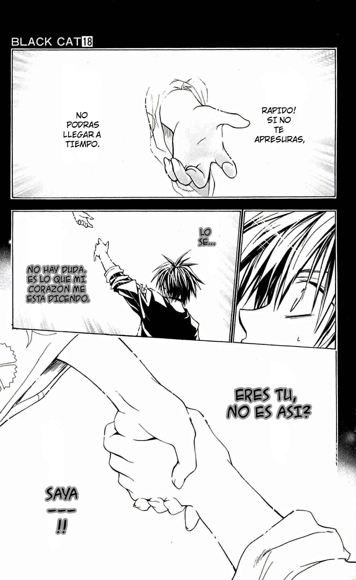 Read Black Cat ES Manga Online