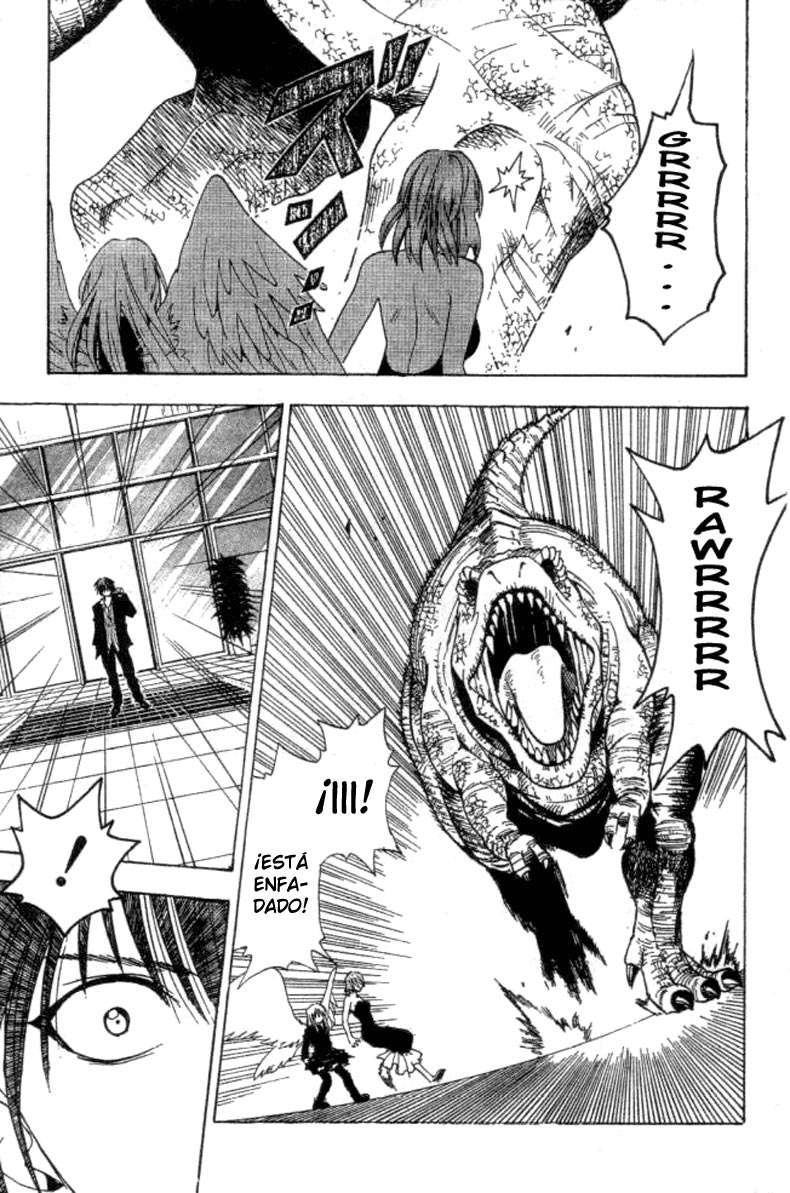 Read Black Cat ES Manga Online