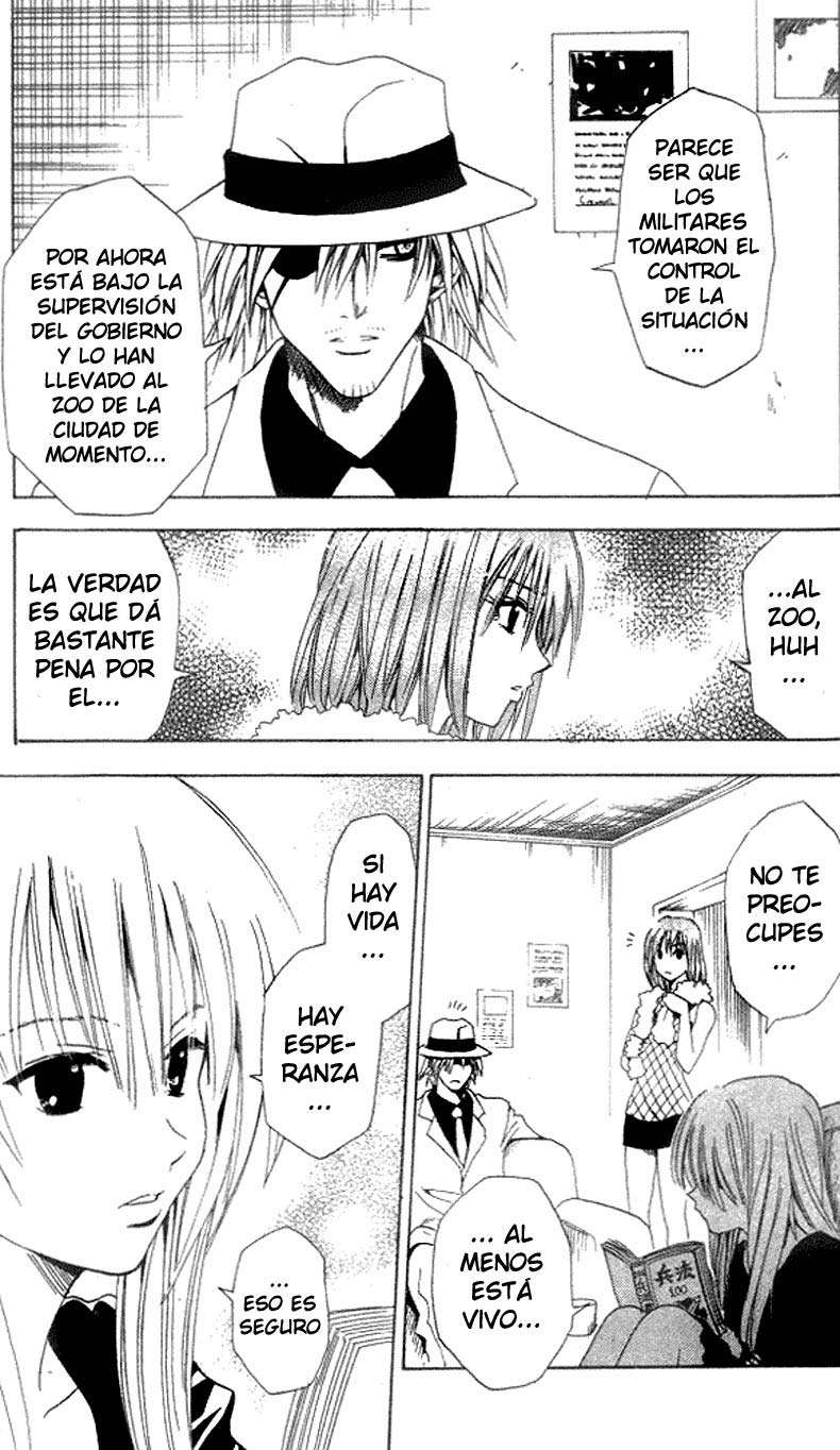 Read Black Cat ES Manga Online