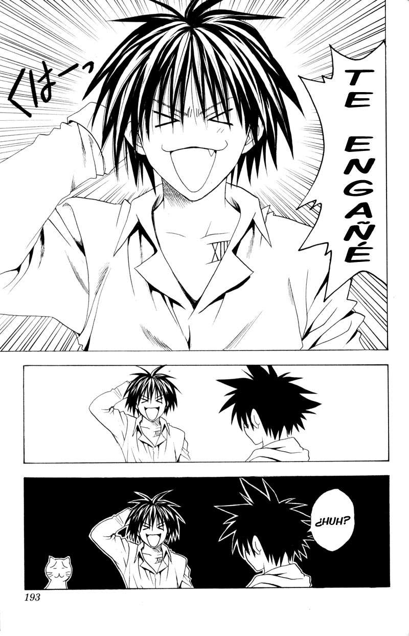 Read Black Cat ES Manga Online