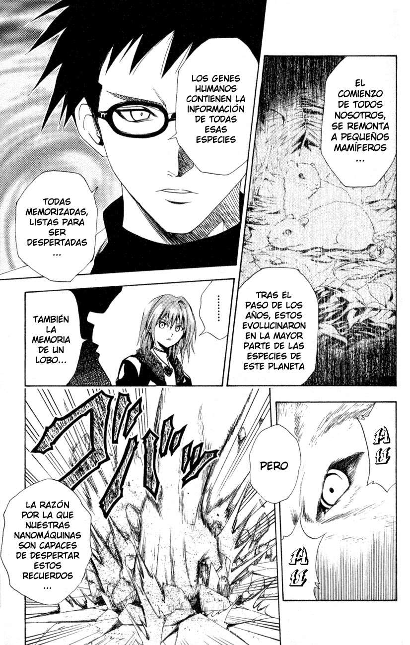 Read Black Cat ES Manga Online