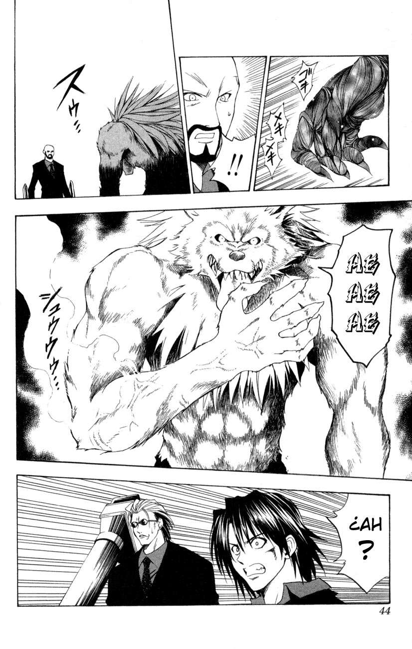 Read Black Cat ES Manga Online