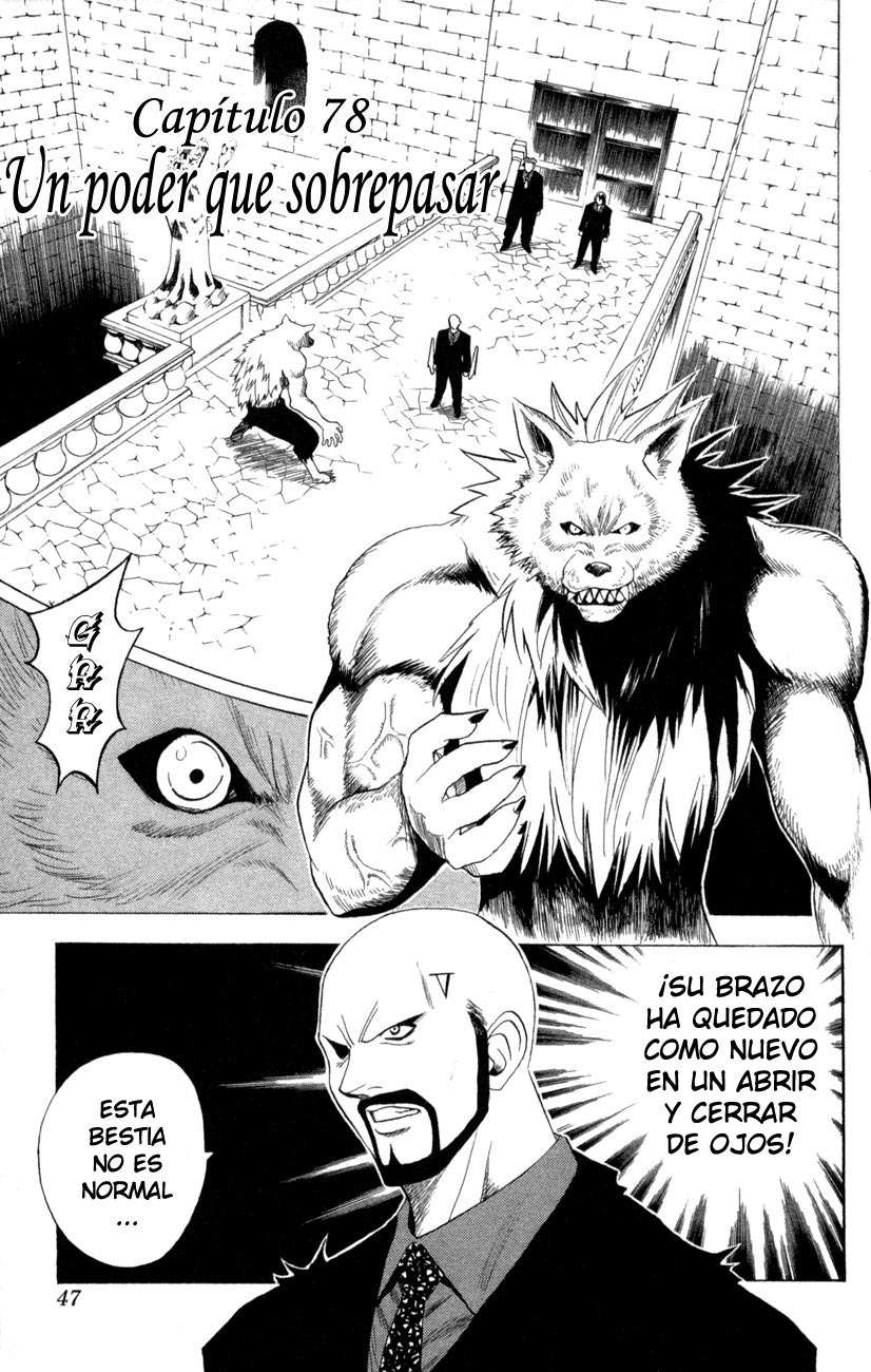 Read Black Cat ES Manga Online