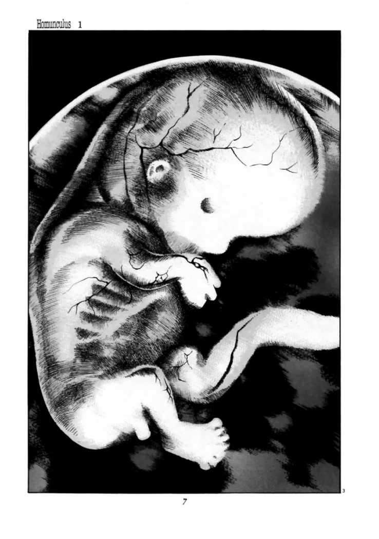 Read Homunculus ES Manga Online