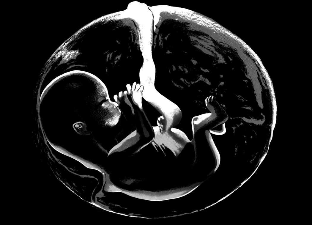 Read Homunculus ES Manga Online