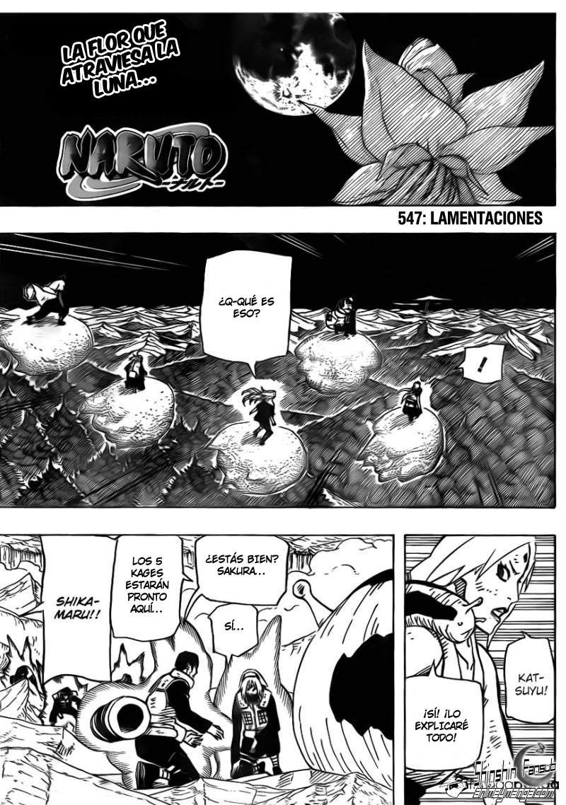 Read Naruto ES Manga Online