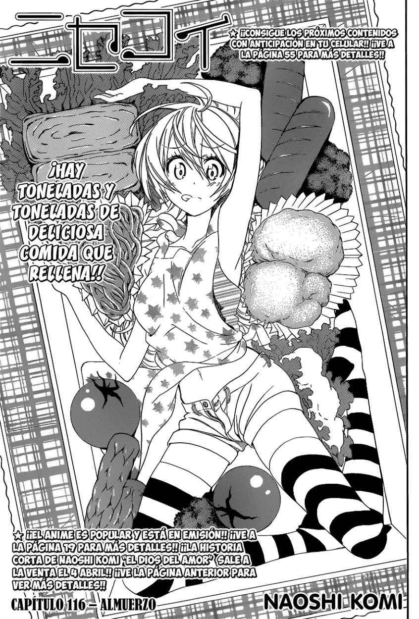 Read Nisekoi ES Manga Online