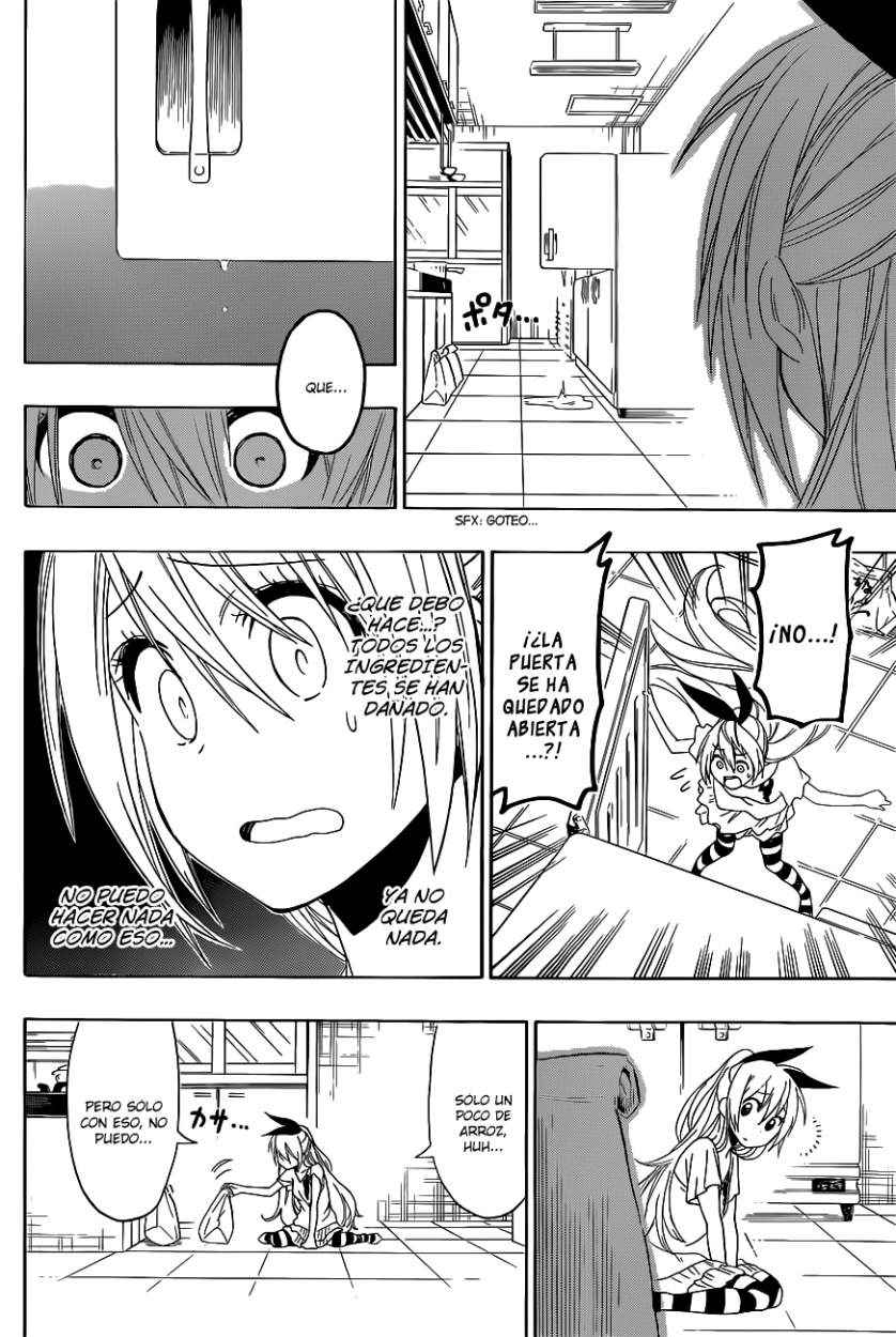 Read Nisekoi ES Manga Online