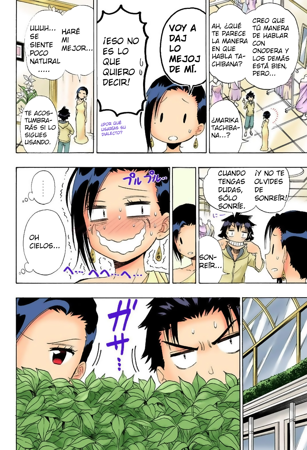 Read Nisekoi ES Manga Online