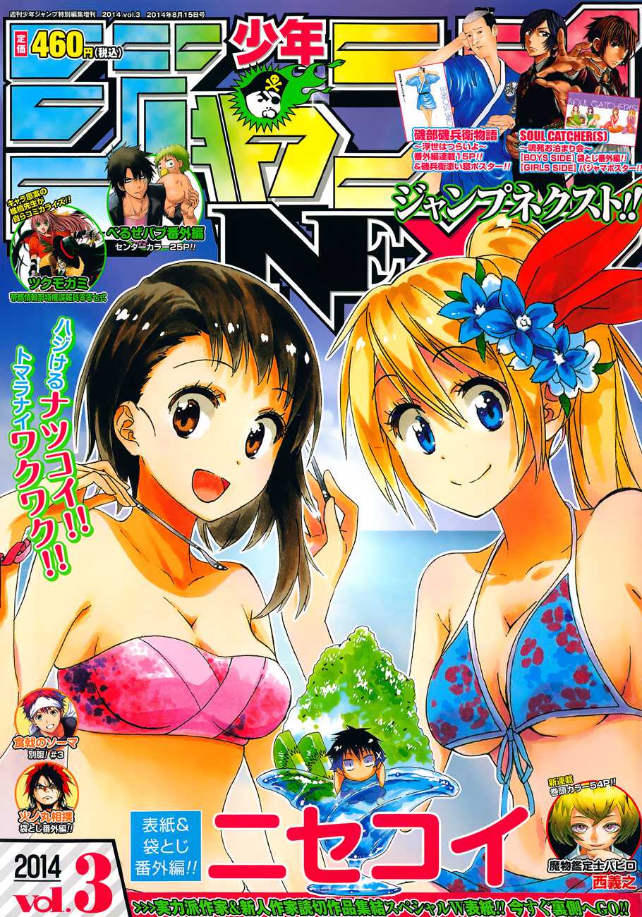 Read Nisekoi ES Manga Online