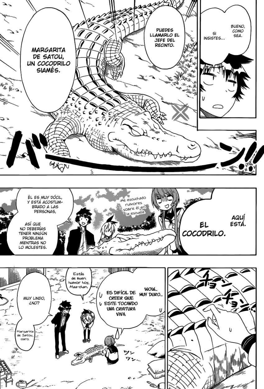 Read Nisekoi ES Manga Online