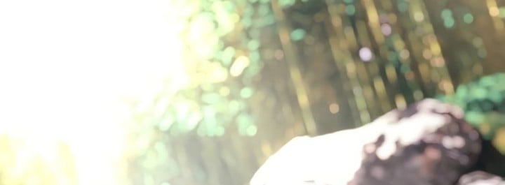 Read Absolute Sword Sense FR Manga Online