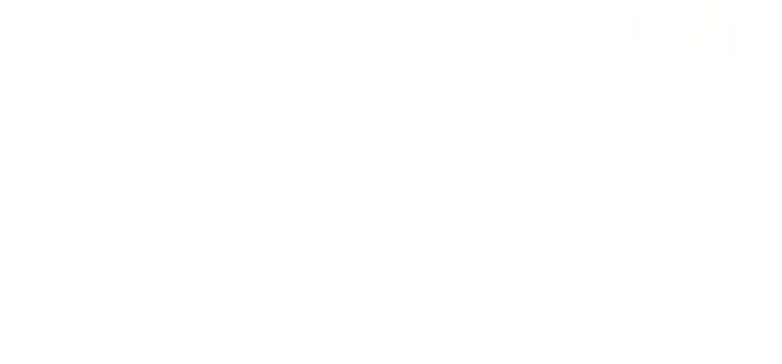 Read Absolute Sword Sense FR Manga Online