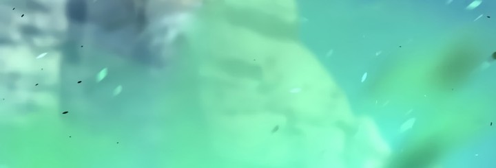 Read Absolute Sword Sense FR Manga Online