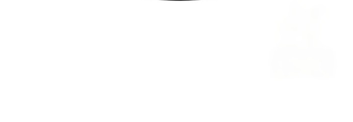 Read Absolute Sword Sense FR Manga Online