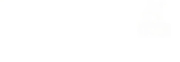 Read Absolute Sword Sense FR Manga Online