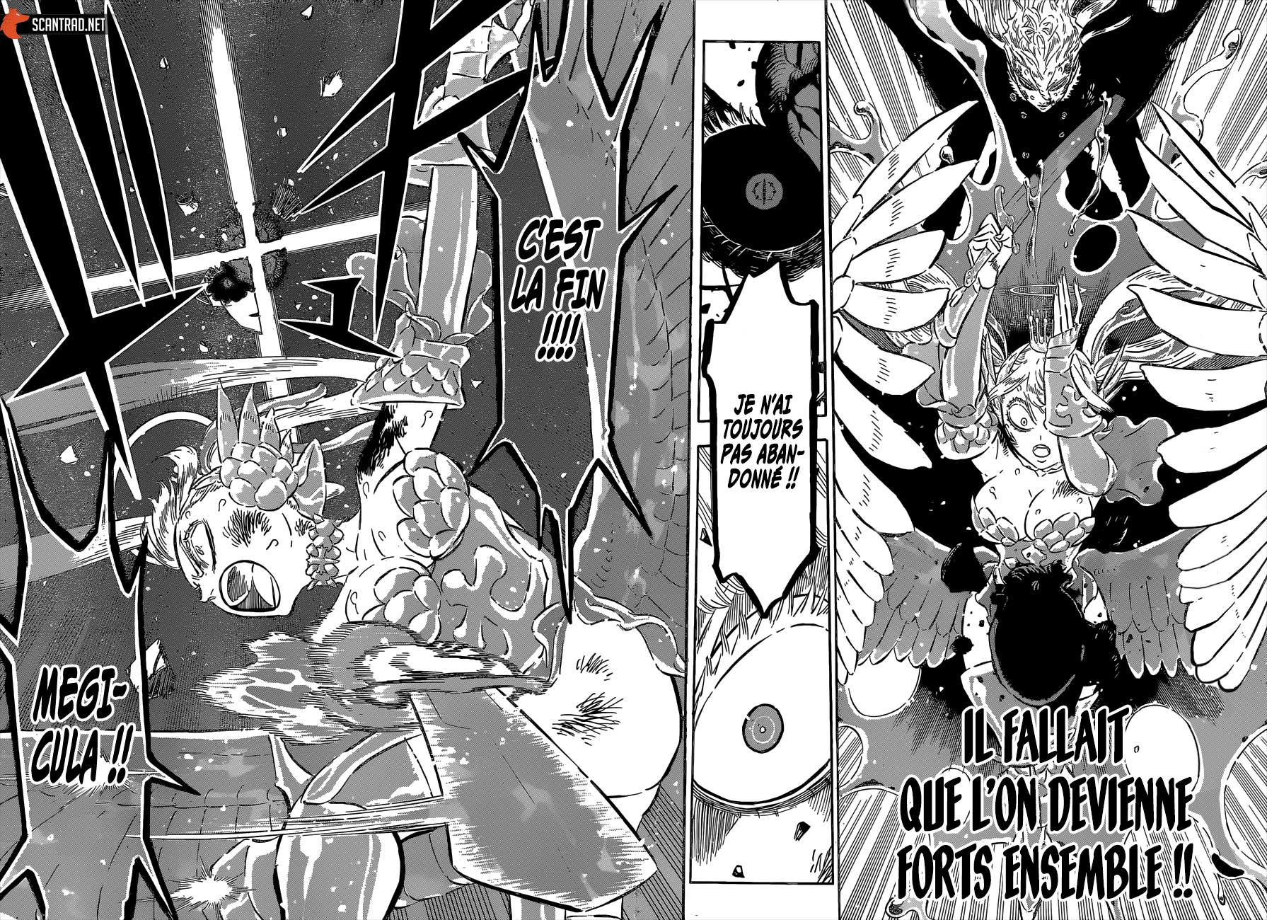 Read Black Clover FR Manga Online