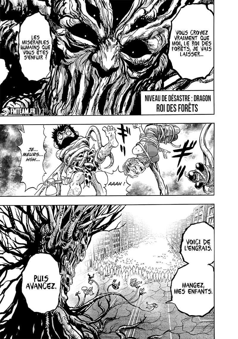 Read One-Punch Man FR Manga Online