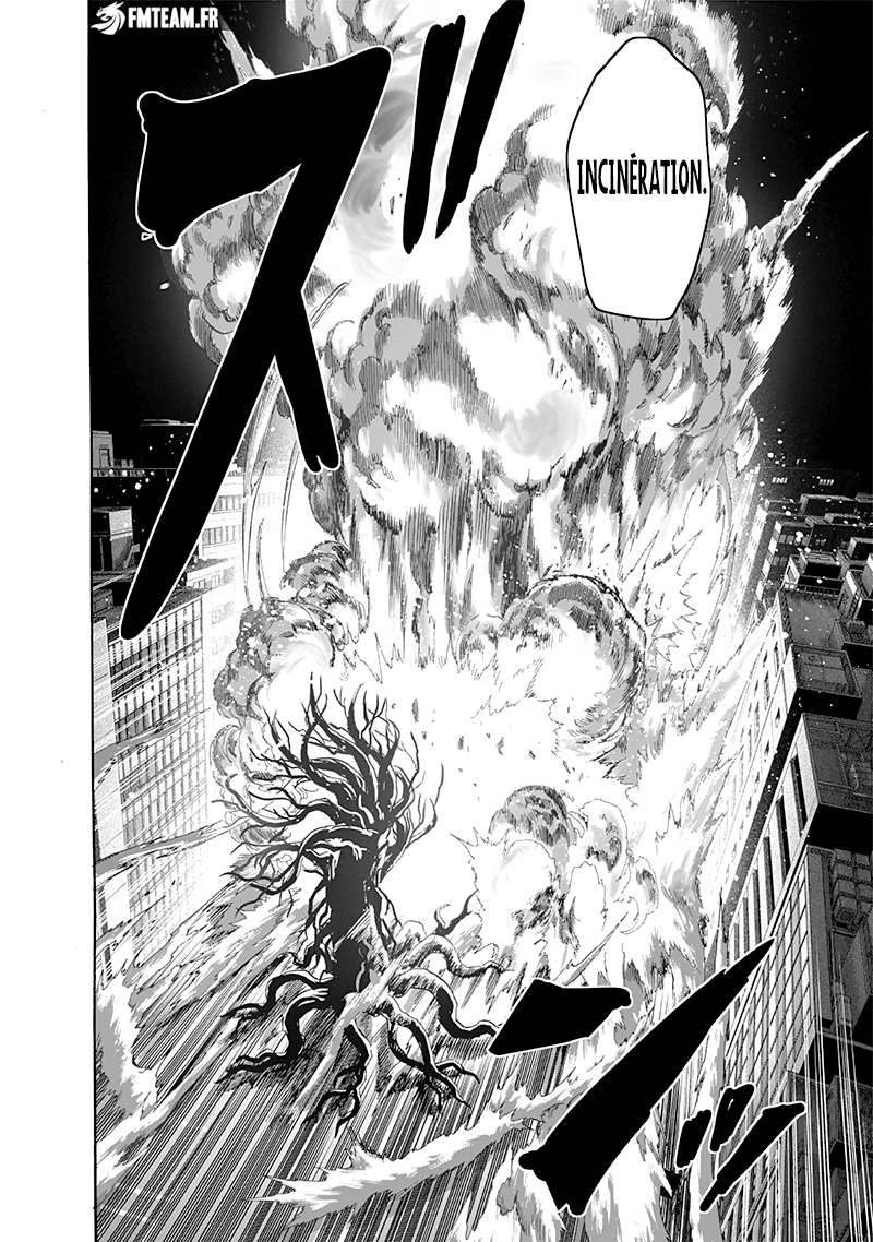 Read One-Punch Man FR Manga Online