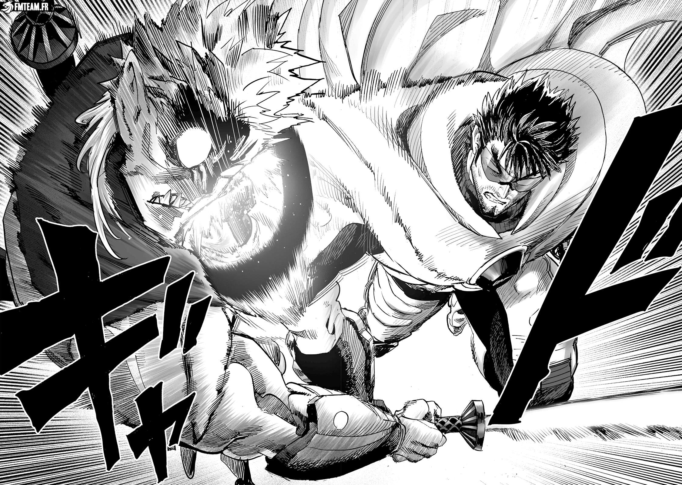 Read One-Punch Man FR Manga Online