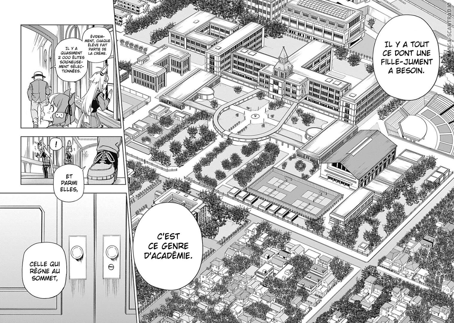 Read Uma Musume_ Cinderella Gray FR Manga Online